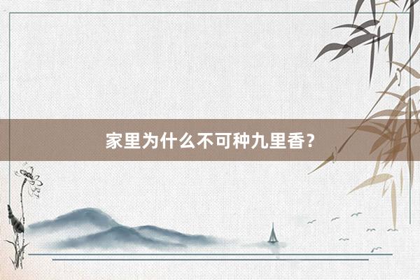家里为什么不可种九里香？