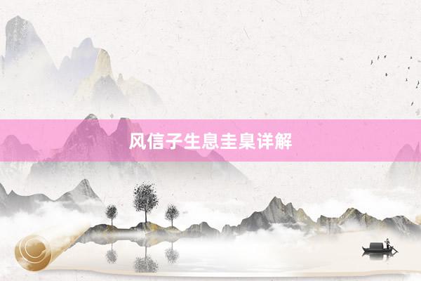 风信子生息圭臬详解